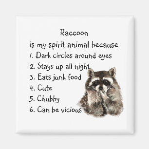 Imã Espírito Animal de Guaxinim Engraçado Humor Aquare