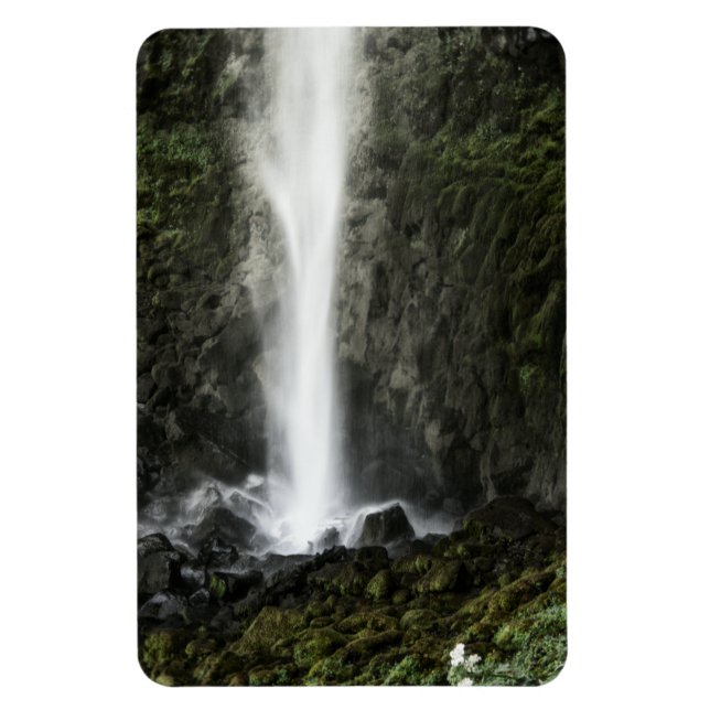 Ímã Espírito da Bacia (Vertical)