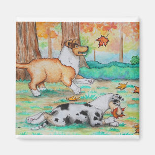 Imã Espírito de queda