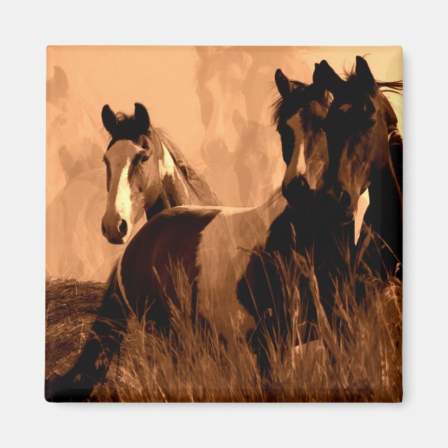 Imã Espíritos do Cavalo (Frente)