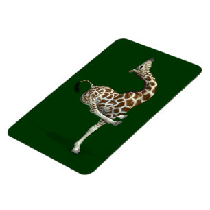 Ímã Esportaria Encantada Giraffe