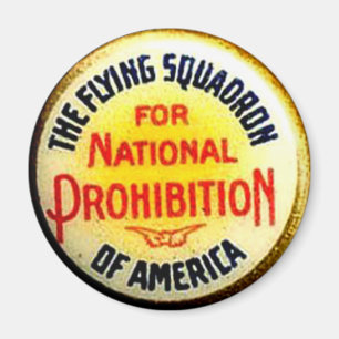 Imã Esquadrão do vôo - ímã