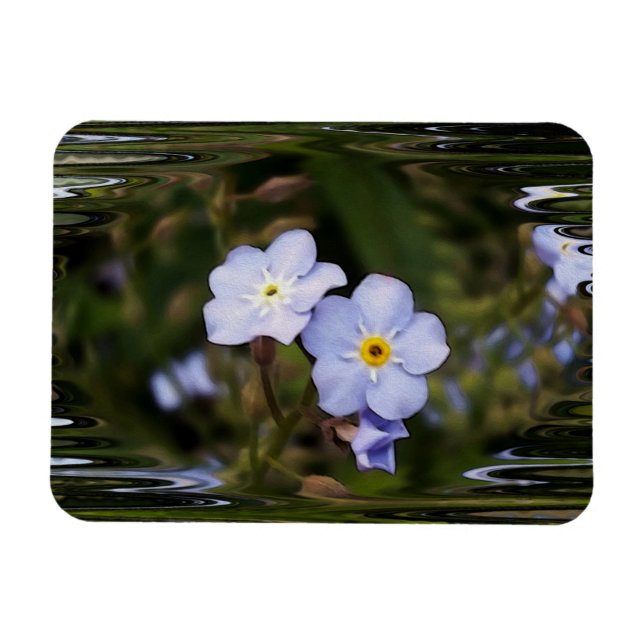 Ímã Esqueça-me não flores (Horizontal)