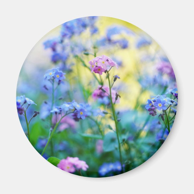 Imã Esqueçam-me-não-flores (Frente)