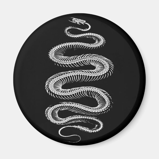Imã Esqueleto de Cobra de deslizamento (Frente)