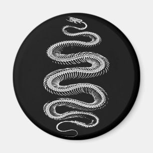 Imã Esqueleto Slithering do cobra
