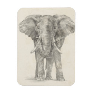 Ímã Esquema do Elefante