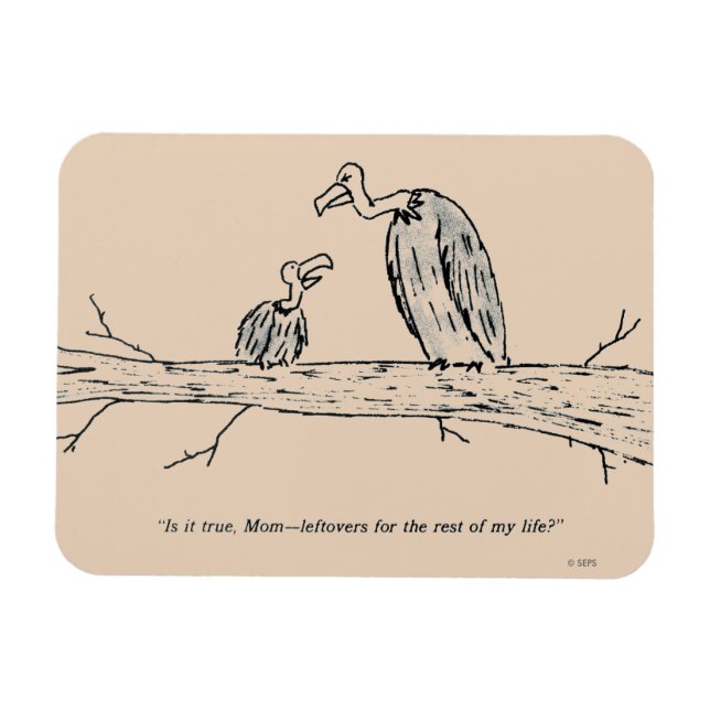 Ímã Esquerda (Horizontal)