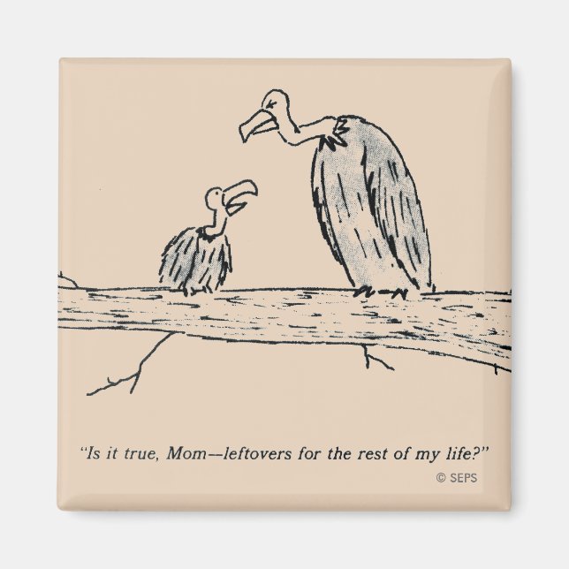 Imã Esquerda (Frente)