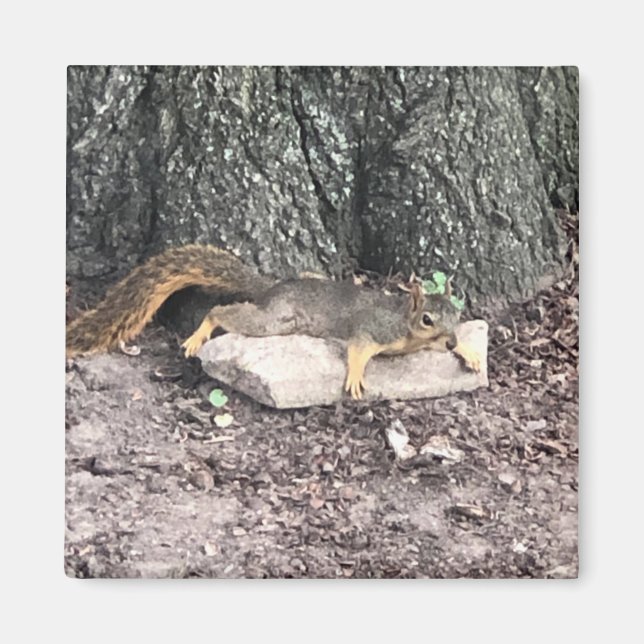 Imã Esquilo (Frente)