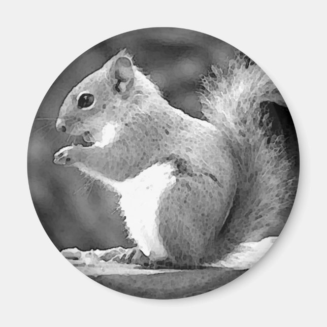 Imã Esquilo (Frente)