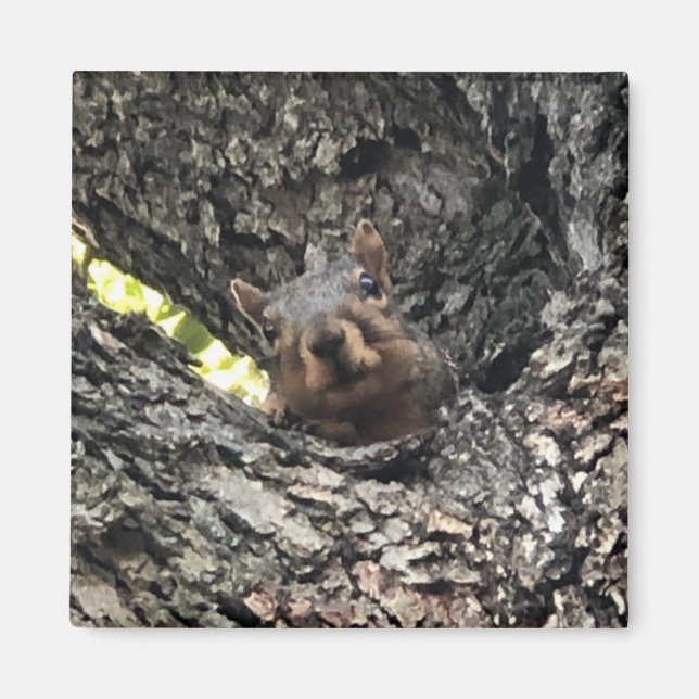 Imã Esquilo (Frente)