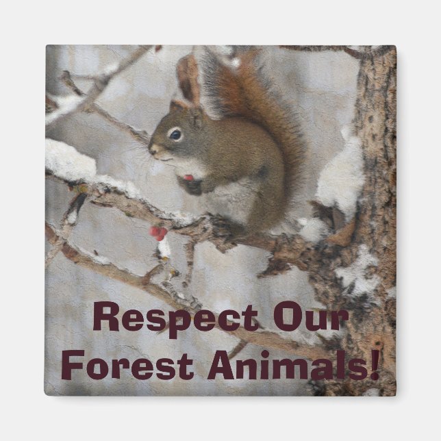 Imã Esquilo de inverno, neve e berries vermelhos Desig (Frente)