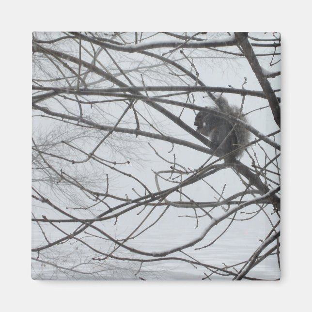 Imã Esquilo no ímã de neve (Frente)