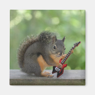 Imã Esquilo que joga a guitarra elétrica