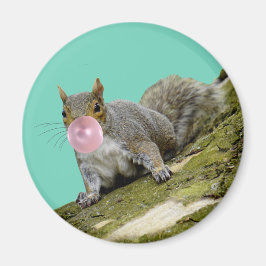 Imã Esquilo soprando uma bolha de Bublegum