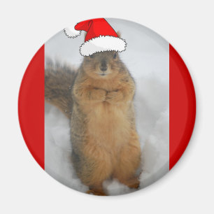 Imã Esquilos de Natal