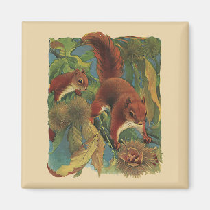 Imã Esquilos Vintage, Criaturas da Floresta, Animais S