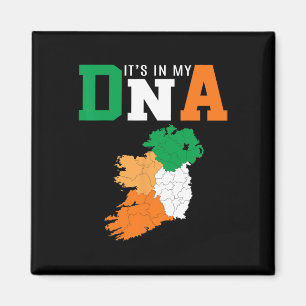 Imã Está No Meu Dna Irlanda Bandeira Irlandesa Present