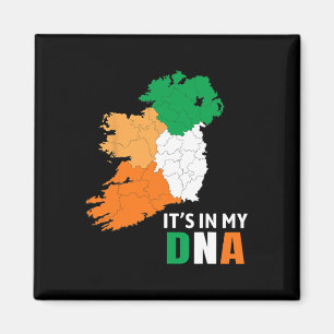 Imã Está No Meu Dna Irlanda Bandeira Irlandesa Present