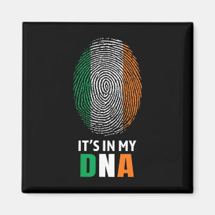 Imã Está No Meu DNA Irlanda Bandeira Irlandesa Present