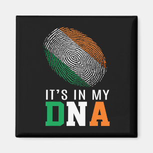 Imã Está No Meu Dna Irlanda Bandeira Irlandesa Present