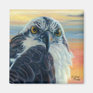 Imã "Está Olhando Para Mim?"