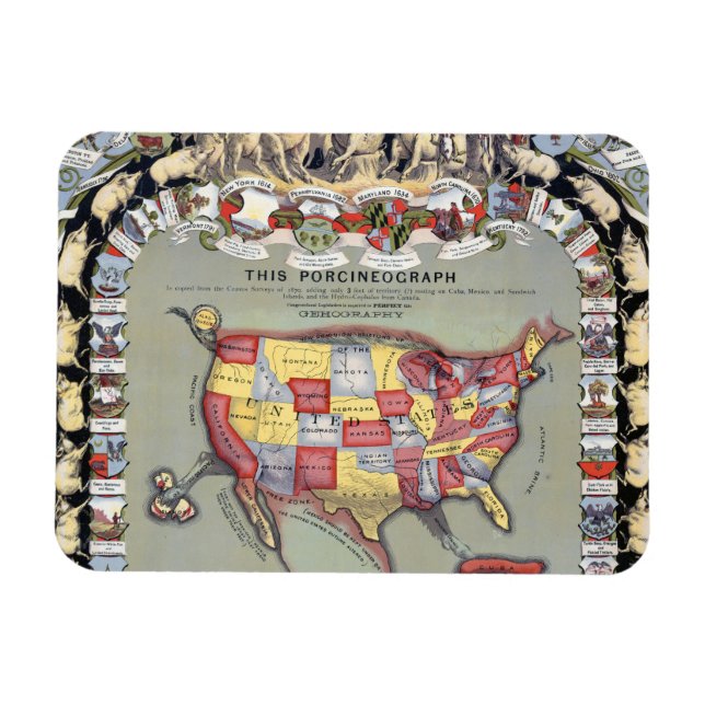 Ímã ESTA PORCINEOGRAFIA, c1876 (Horizontal)