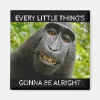 Está tudo bem macaco