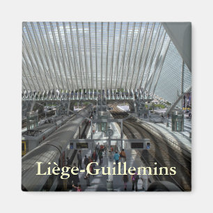 Imã Estação ferroviária Liège-Guillemins