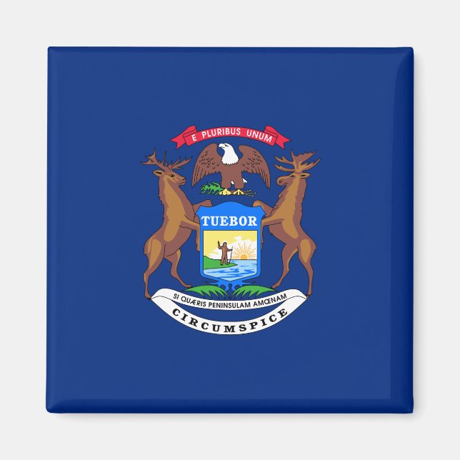 Imã Estado da bandeira de Michigan (Frente)