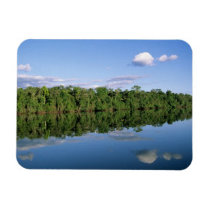 Ímã Estado do Mato Grosso, Amazônia, Brasil. Florestad