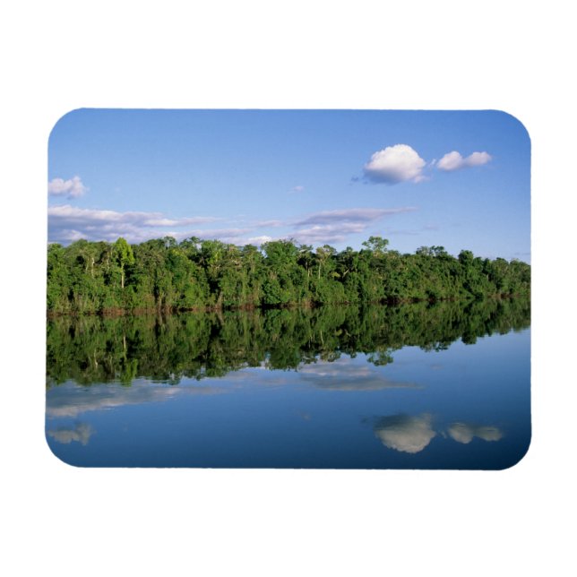Ímã Estado do Mato Grosso, Amazônia, Brasil. Florestad (Horizontal)
