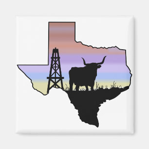 Imã Estado do Texas