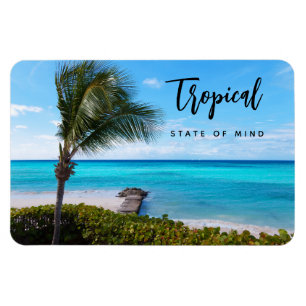 Ímã Estado Tropical de Espírito Vista Cênica do Oceano