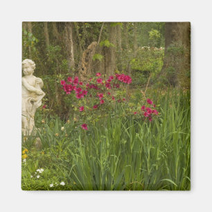 Imã Estados Unidos; Carolina do Sul; Charleston; 4