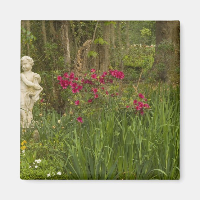 Imã Estados Unidos; Carolina do Sul; Charleston; 4 (Frente)