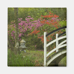 Imã Estados Unidos; Carolina do Sul; Charleston; 5