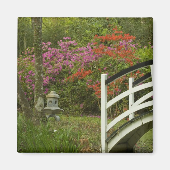 Imã Estados Unidos; Carolina do Sul; Charleston; 5 (Frente)