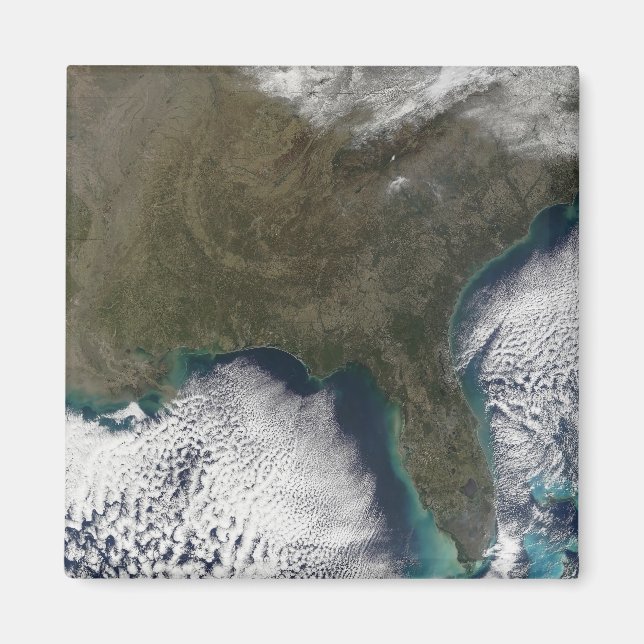 Imã Estados Unidos da América do Sul (Frente)