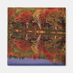 Imã Estados Unidos, Michigan, Upper Peninsula. Outono