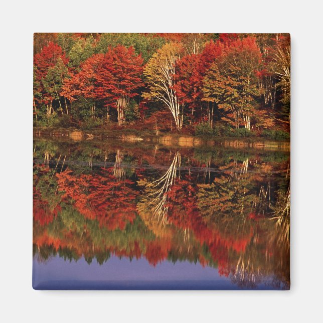 Imã Estados Unidos, Michigan, Upper Peninsula. Outono (Frente)