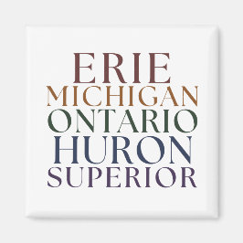 Imã Estadual de excelente Lagos estacionando o medidor