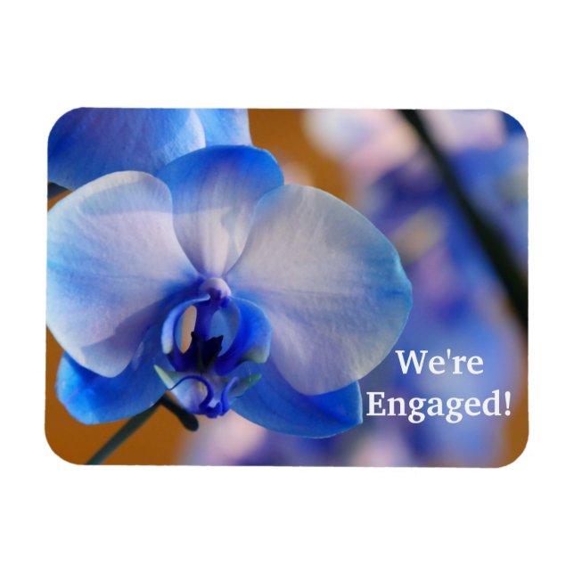 Ímã Estamos encantados! Magneta flexível (Horizontal)