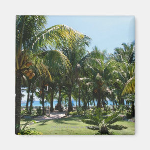 Imã Estância de Verão