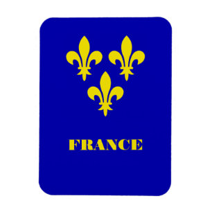 Ímã Estandarte Real Francês Medieval Fidelidade Heráld