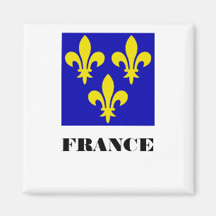 Imã Estandarte Real Francês Medieval Fidelidade Heráld