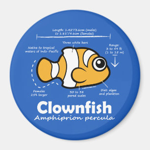 Imã Estatísticas de Clownfish