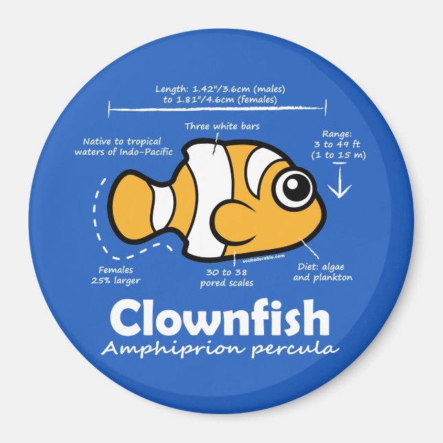 Imã Estatísticas do Clownfish (Frente)