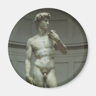 Imã Estátua de Davi por Michelangelo